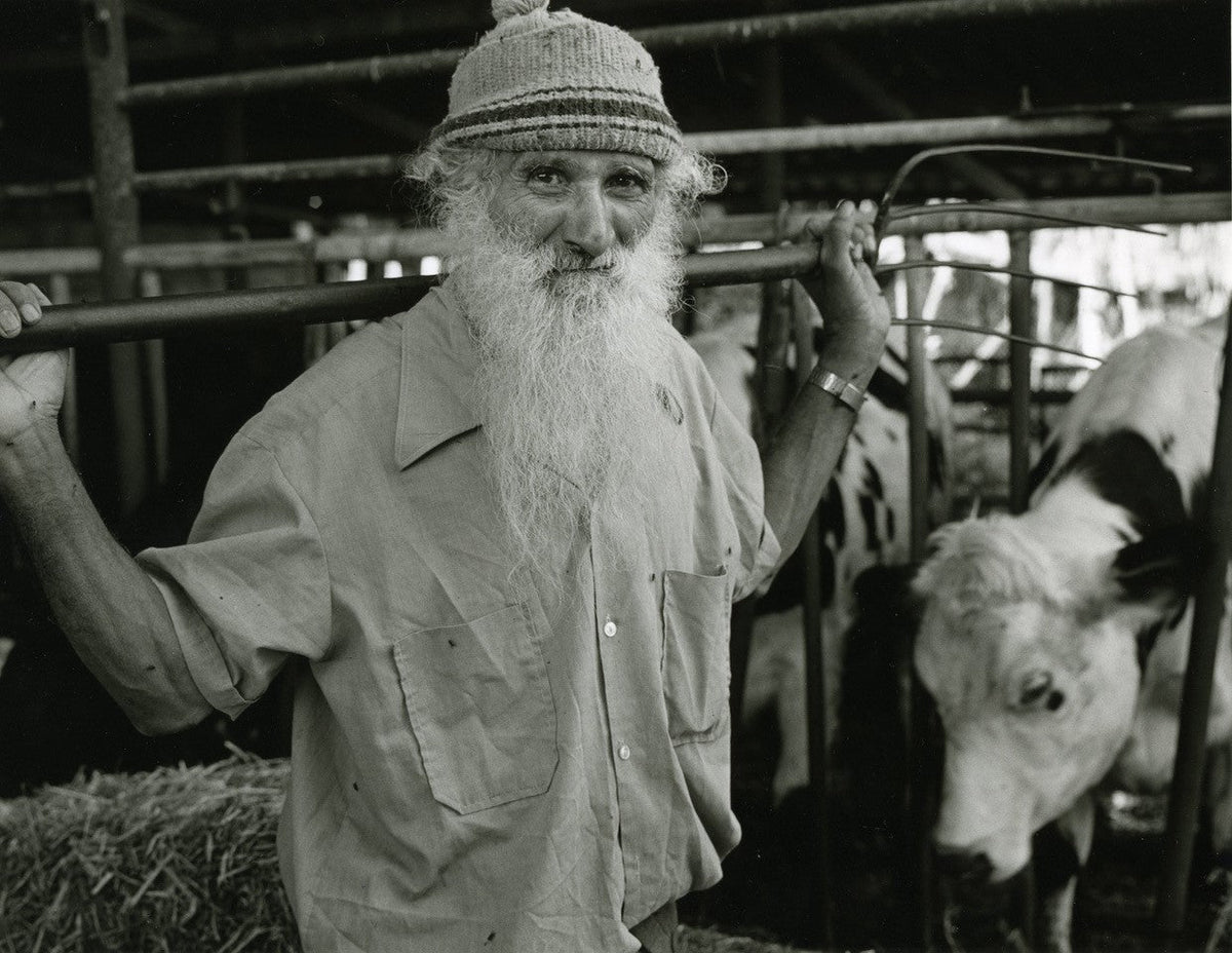 The Jews of Yemen. The Last Generation (Hebrew-English) by Zion Ozeri – image 5